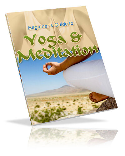 Beginner's Guide to Yoga & Meditation medium